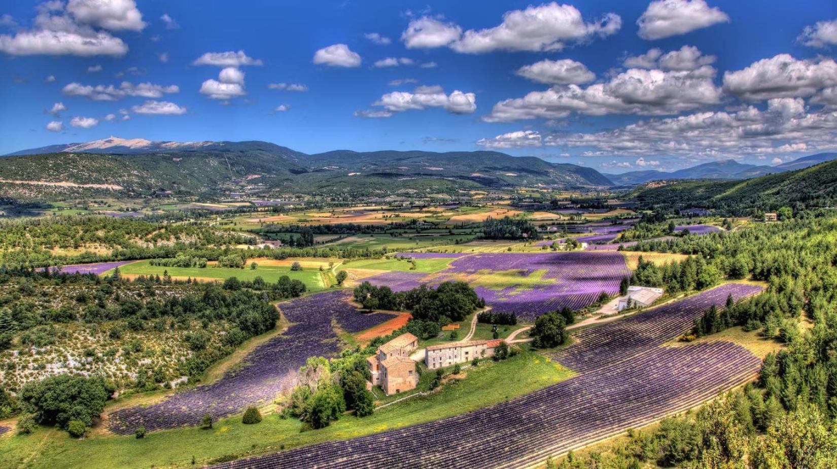 Gite Amour De Provence Chateaurenard Luaran gambar